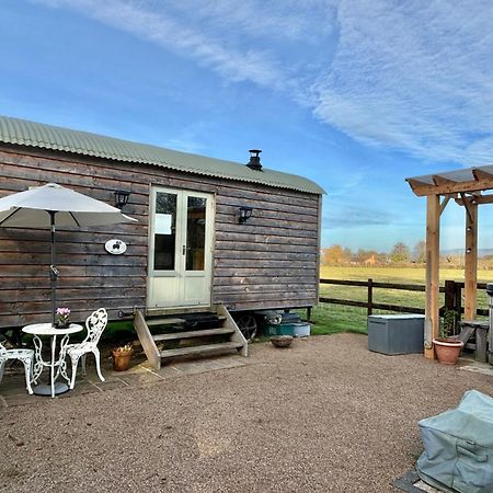 Bron Hafren Bed and Breakfast Montgomery Exteriör bild